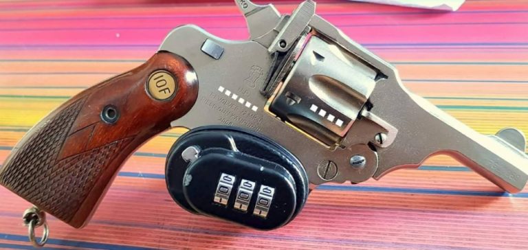Best Gun Trigger Lock In 2022 – Locked And Loaded
